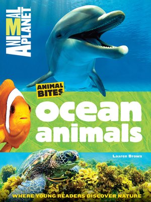 cover image of Ocean Animals